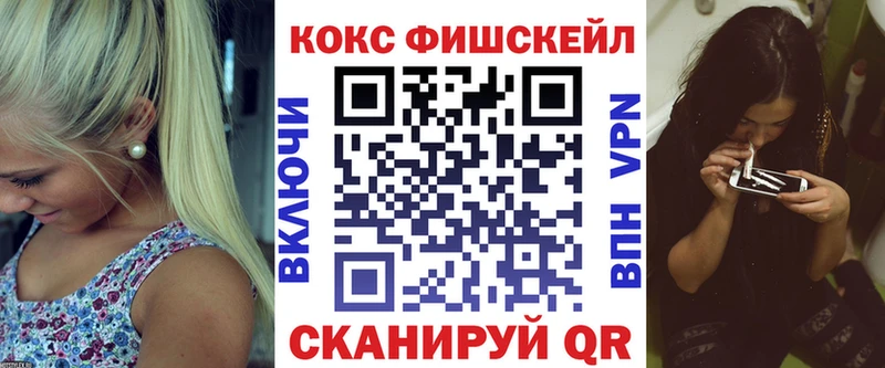 купить наркотики сайты  Никольск  Cocaine Fish Scale 