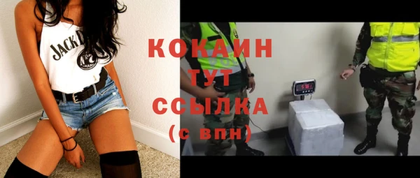 ПСИЛОЦИБИНОВЫЕ ГРИБЫ Армянск