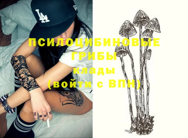 не бодяженный Арсеньев